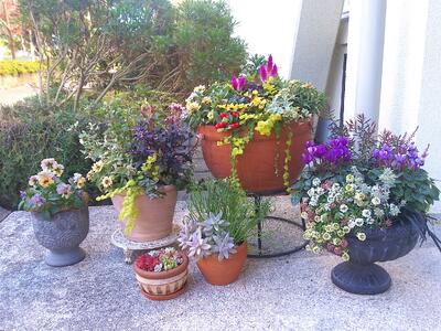 三ケ島小の風景