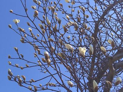 三ケ島小春の訪れ♪